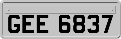 GEE6837