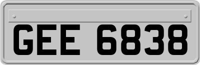 GEE6838
