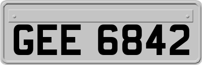 GEE6842