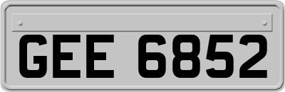 GEE6852