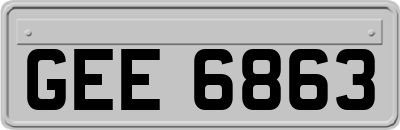 GEE6863