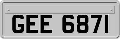 GEE6871