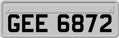 GEE6872
