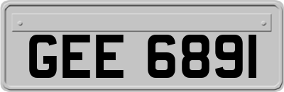 GEE6891