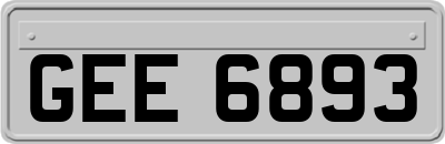 GEE6893