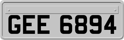 GEE6894