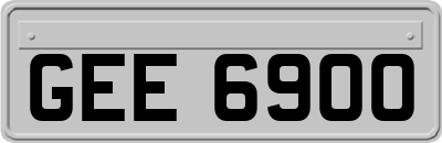 GEE6900