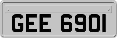 GEE6901
