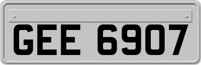 GEE6907