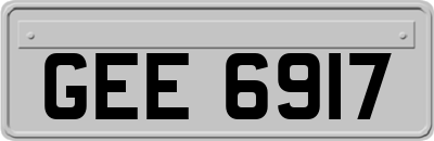 GEE6917