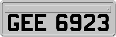 GEE6923