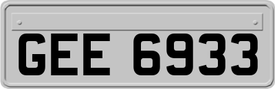 GEE6933
