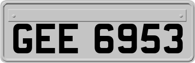GEE6953