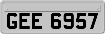 GEE6957