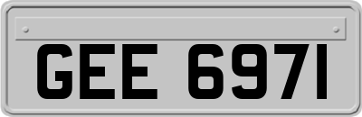 GEE6971