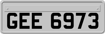 GEE6973