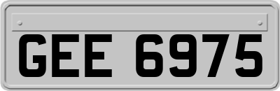 GEE6975