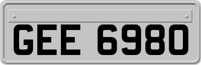 GEE6980