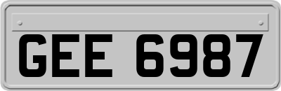 GEE6987