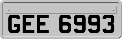 GEE6993