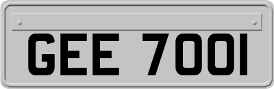 GEE7001
