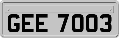 GEE7003