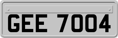 GEE7004
