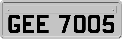 GEE7005