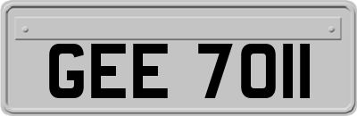 GEE7011