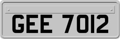 GEE7012