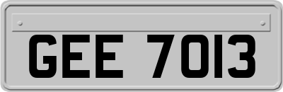 GEE7013
