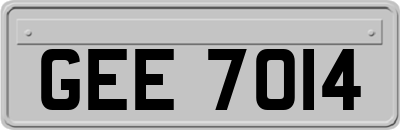GEE7014