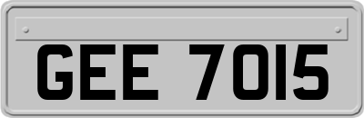 GEE7015
