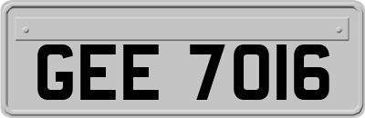 GEE7016