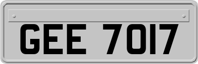 GEE7017