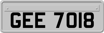GEE7018