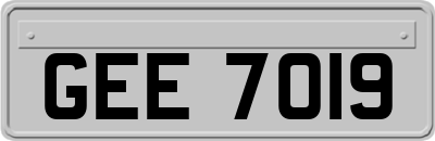 GEE7019