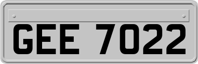GEE7022