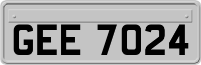 GEE7024