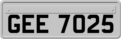 GEE7025