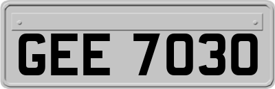 GEE7030