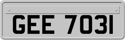 GEE7031