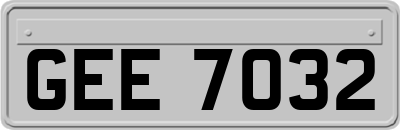 GEE7032