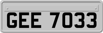 GEE7033
