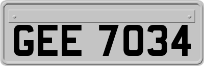 GEE7034