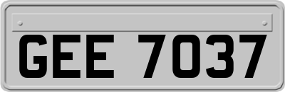 GEE7037
