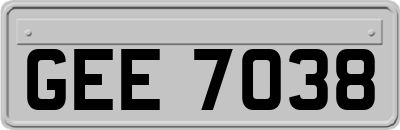 GEE7038