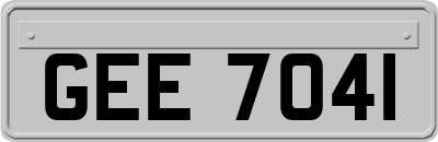 GEE7041