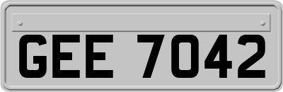 GEE7042
