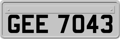 GEE7043